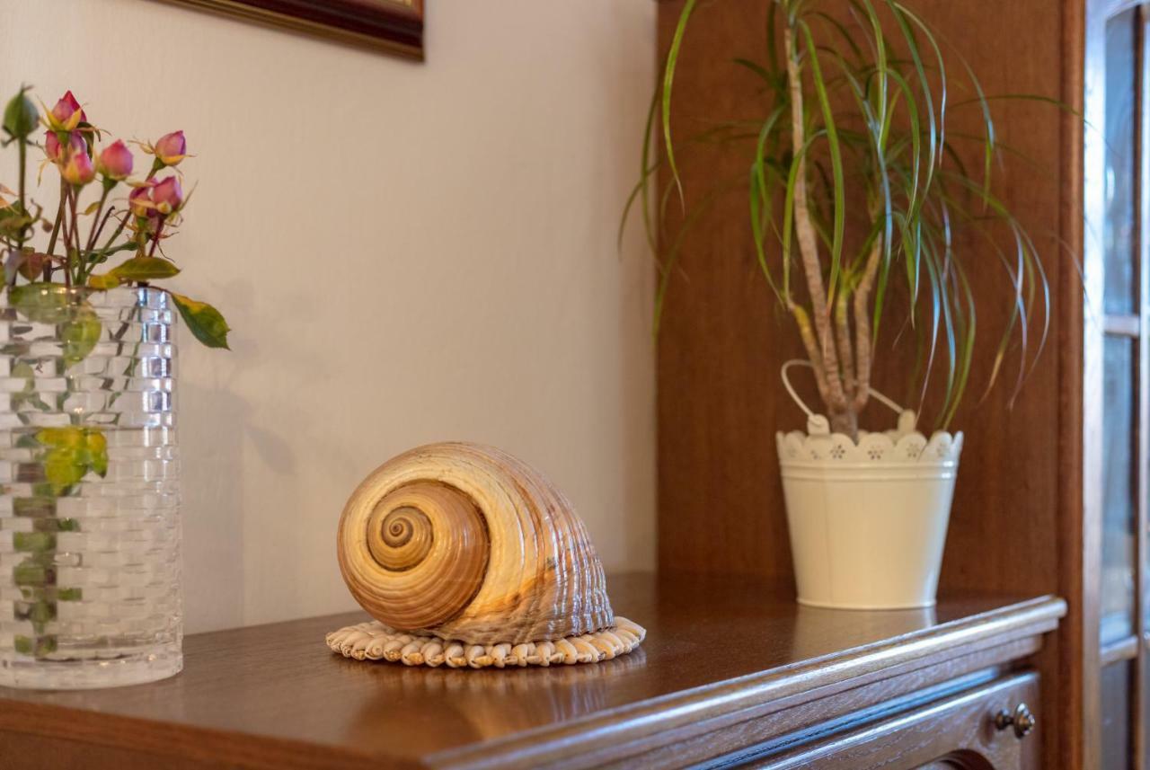 Vacation Home Duilo Donji Zemunik Экстерьер фото